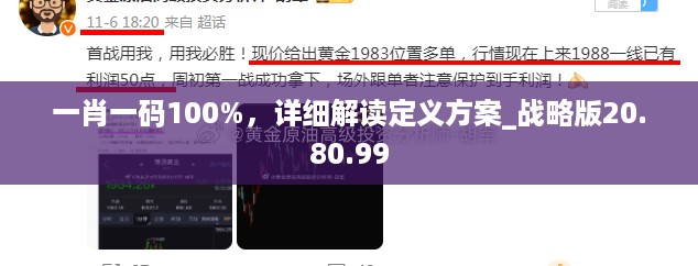 一肖一码100%，详细解读定义方案_战略版20.80.99