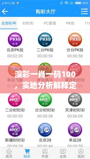 溴彩一肖一码100，实地分析解释定义_iPhone63.99.69