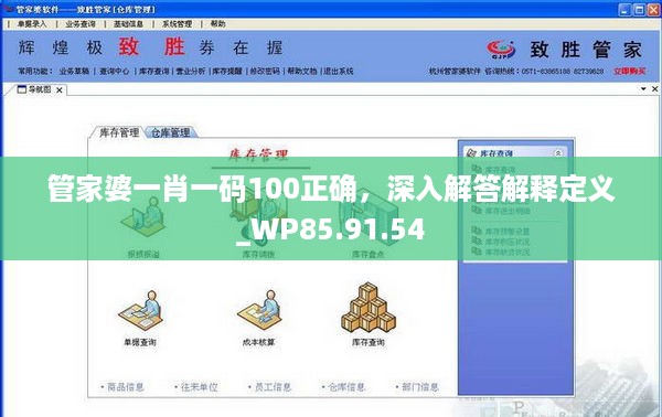 管家婆一肖一码100正确，深入解答解释定义_WP85.91.54