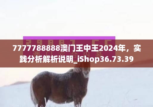 7777788888澳门王中王2024年，实践分析解析说明_iShop36.73.39