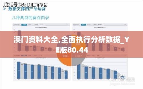 澳门资料大全,全面执行分析数据_YE版80.44