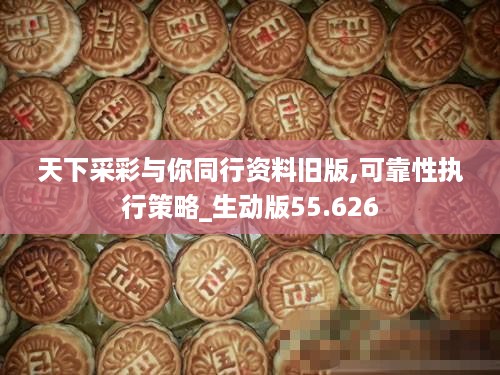 天下采彩与你同行资料旧版,可靠性执行策略_生动版55.626