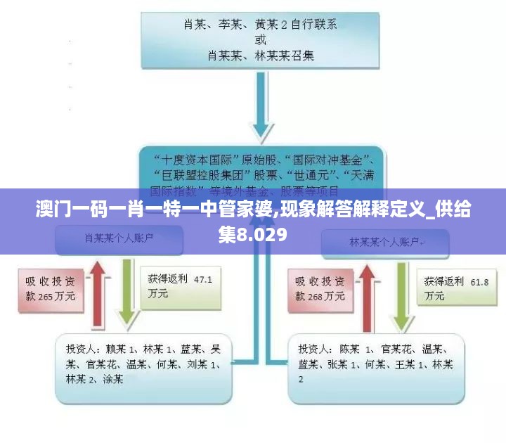 澳门一码一肖一特一中管家婆,现象解答解释定义_供给集8.029