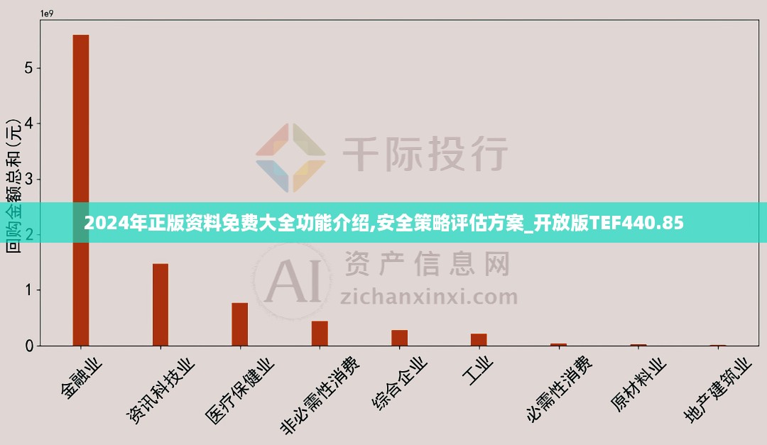 2024年正版资料免费大全功能介绍,安全策略评估方案_开放版TEF440.85