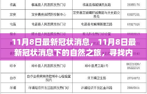 11月8日冠状病毒最新动态下的自然探索与心灵安宁之旅