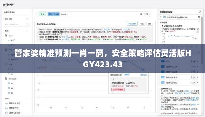 管家婆精准预测一肖一码，安全策略评估灵活版HGY423.43