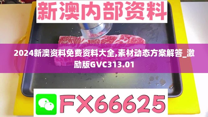 2024新澳资料免费资料大全,素材动态方案解答_激励版GVC313.01