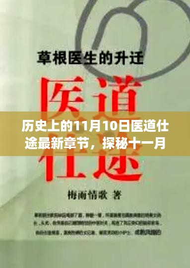 探秘医道仕途，隐秘小巷奇遇与十一月十日的历史最新章节回顾