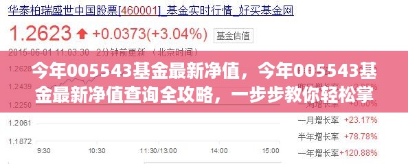 掌握最新净值，全面解析005543基金查询攻略与最新净值信息