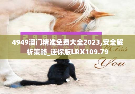 4949澳门精准免费大全2023,安全解析策略_迷你版LRX109.79