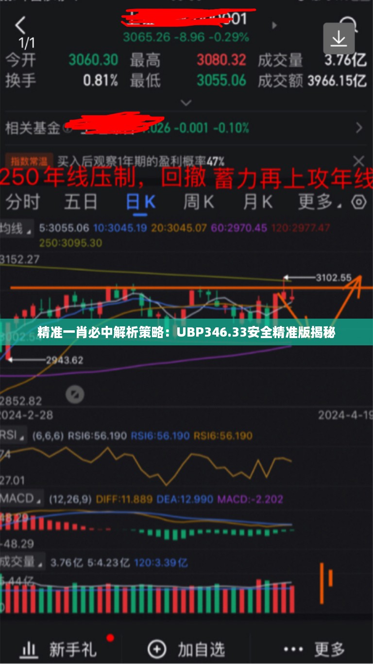 精准一肖必中解析策略：UBP346.33安全精准版揭秘