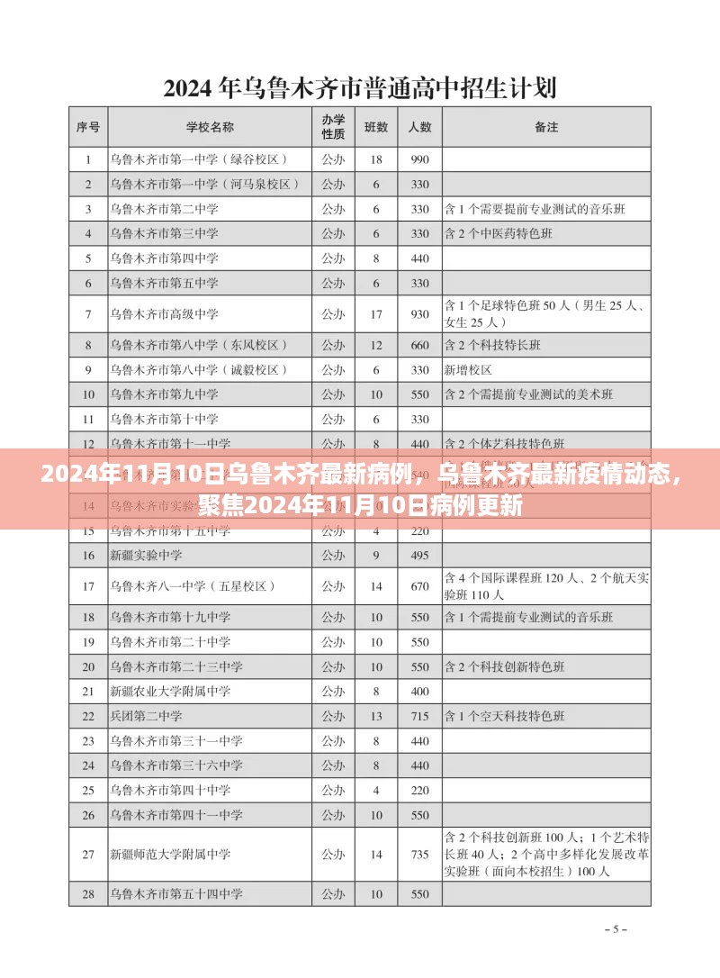 聚焦乌鲁木齐最新疫情动态，2024年11月10日病例更新与疫情最新进展