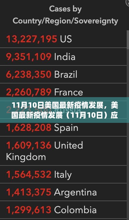 美国疫情最新动态（11月10日），全方位应对指南与行动步骤