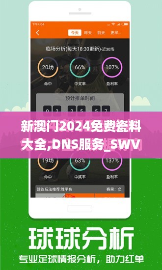 新澳门2024免费瓷料大全,DNS服务_SWV885.11超凡版