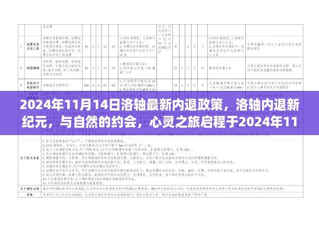 洛轴内退新纪元，启程于心灵之旅的约会，揭秘最新内退政策（2024年11月）