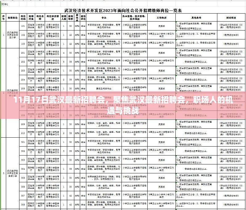 11月17日武汉最新招聘会，职场人的机遇与挑战聚焦