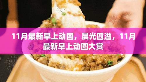 晨光四溢，11月最新早上动图大赏