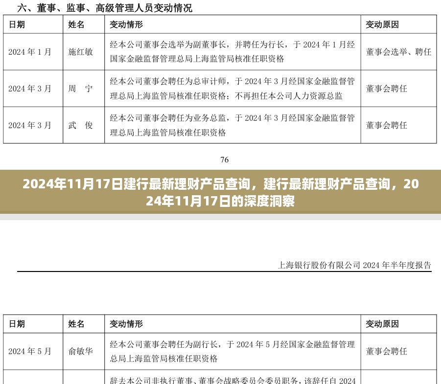 2024年11月17日深度洞察，建行最新理财产品查询及市场趋势分析