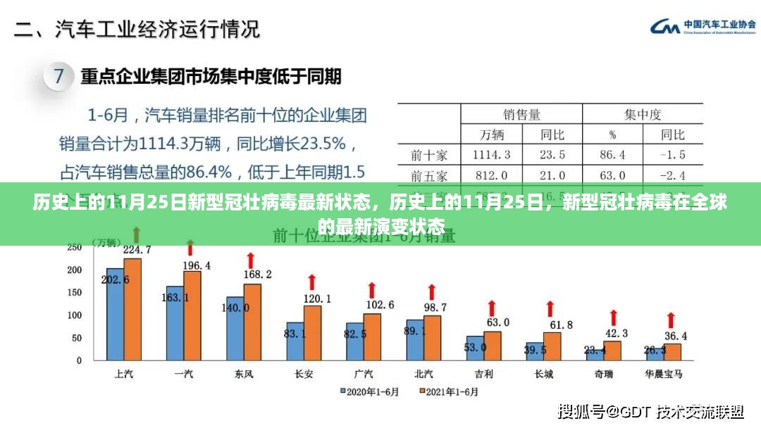 历史上的11月25日新型冠壮病毒最新状态，历史上的11月25日，新型冠壮病毒在全球的最新演变状态