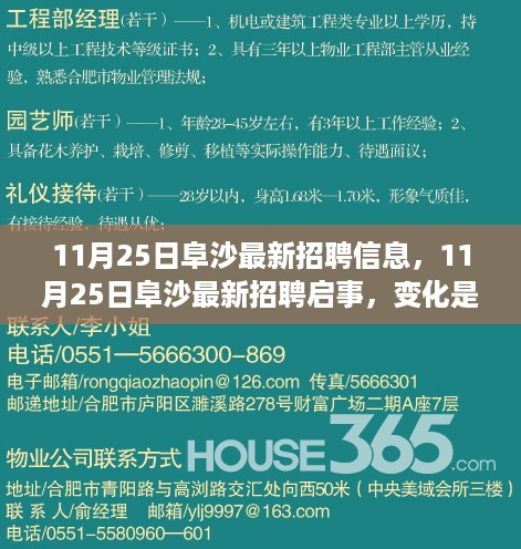 11月25日阜沙最新招聘信息及招聘启事，变化与成长，学习与自信