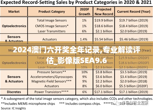 2024澳门六开奖全年记录,专业解读评估_影像版SEA9.6