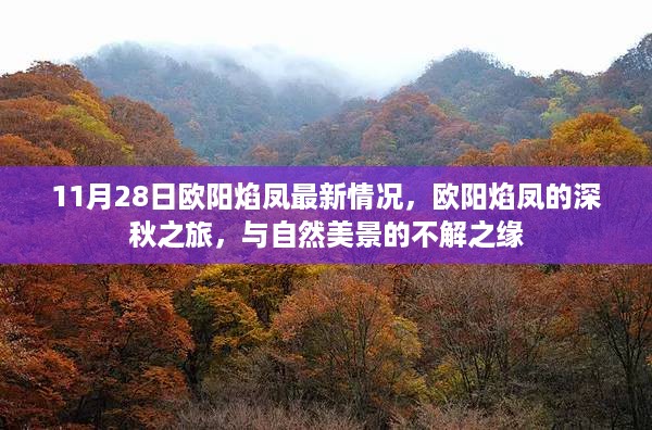 欧阳焰凤深秋之旅，与自然美景的不解之缘最新动态（11月28日）